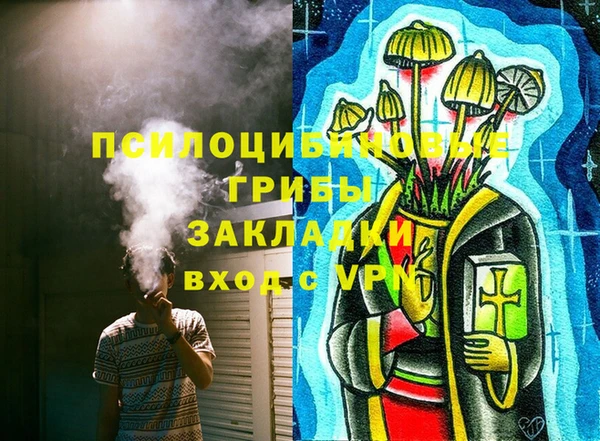 спайс Вяземский
